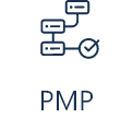 Organization icon with different levels and a checkmark with the letters PMP below it on a transparent background.